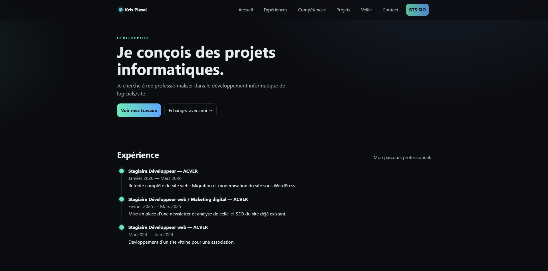 Page d'accueil de mon portfolio